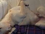 rien faire... Comment faire