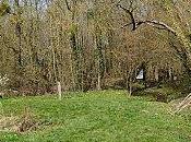 D'un autre oeil (3)...