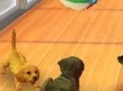 Nintendogs Cats réaliste