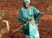 Hommage Wangari Maathai