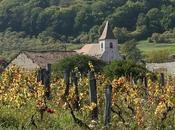 Vignoble Côtes Toul-Entre Bruley Lucey