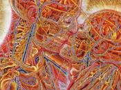 Young Montana?: Bonsoir Stream Suite premier LP...