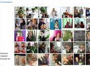 Concours photos Office Hollandais Fleurs