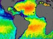 [Image jour] Carte salinité océans