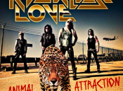 Reckless Love, Animal Attraction, nouvel album