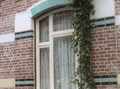 Verdissons murs quartier.