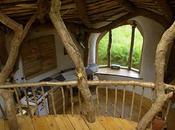 maisons hobbit