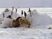 peur sila donne tempetes »les inuit sagesse territoire