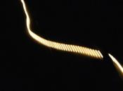 l’autre côté grands rideaux noirs entourent la...