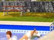 Sims Animaux Webisode