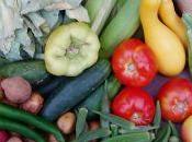 cercle mallissimalistes