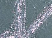 Fichage ans, j'en pense