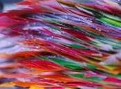 Créer entreprise France… c’est bordel