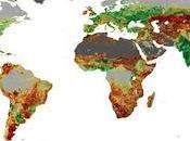 Borlaug nouvelle révolution verte pour nourrir monde