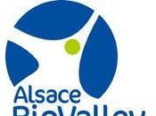 Développement International Alsace BioValley innove pour entreprises laboratoires alsaciens filière Santé