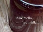 Amantella croustillant pâte tartiner gavottes