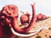 Sauveterre-la-Lémance, musée préhistoire