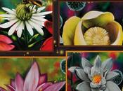 L’affiche Jardin Botanique Stade Olympique