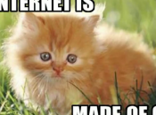 Internet made Cats