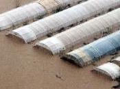 Inondations dans Sud-est