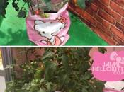 Hello Kitty Happy Garden