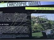 cube vert Christophe Gonnet