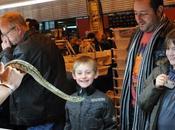 Reptil Expo visiteurs franchi