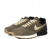 Nike Pegasus Decon dispos