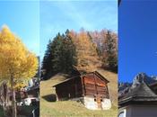 L'automne Valais...