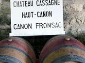 Château Cassagne Haut-Canon Canon-Fronsac)