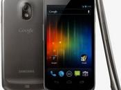 Sortie repoussée pour Galaxy Nexus