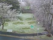 jardin relooké space invaders