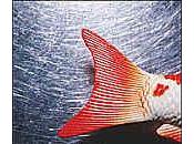 fille gardien phare Rosman