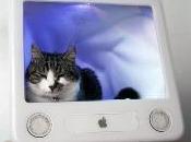 eSleeper niche pour chat iTech