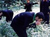 Loki Starfish Drifting