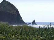 Oregon Coast
