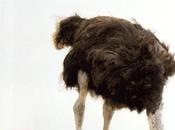 L'exposition Collector Postal.