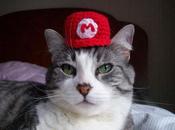 chapeaux super-mario-bros pour votre chat