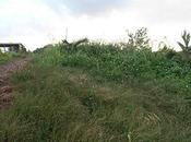 redémarrage travaux