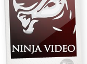 NinjaVidéo.net peines prison requises