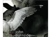 Scintillation John BURNSIDE