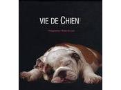 chien!