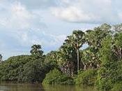 Parc national Niger