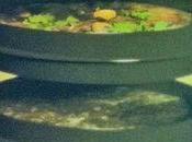 Recycler déchets ménagers dans votre cuisine...., c'est possible Pourquoi