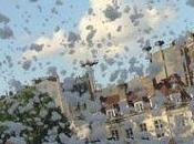 Mariage homosexuel, gauche aveuglée l’État