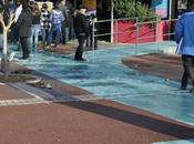 Signalétique très claire pour Studio Grill