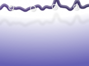 245ème sortie pluie arrive