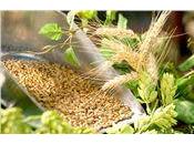 bonne salade d'orge perlé manger!