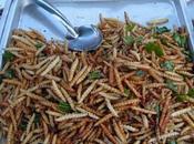 Devrons-nous manger insectes 2050 pour protéger planète