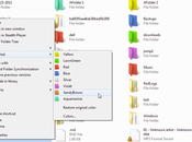 Changer couleur dossiers windows avec Folder Colorizer